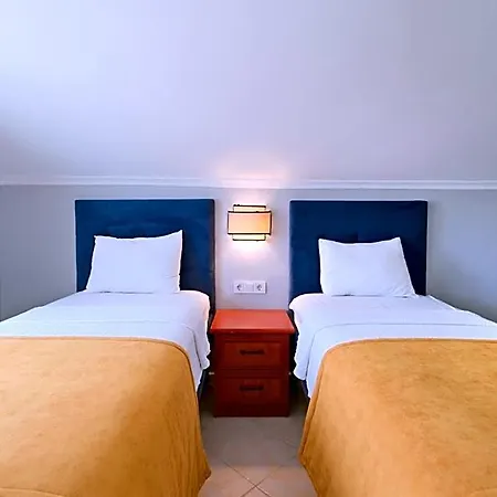 Hotel Gold Lion 4*